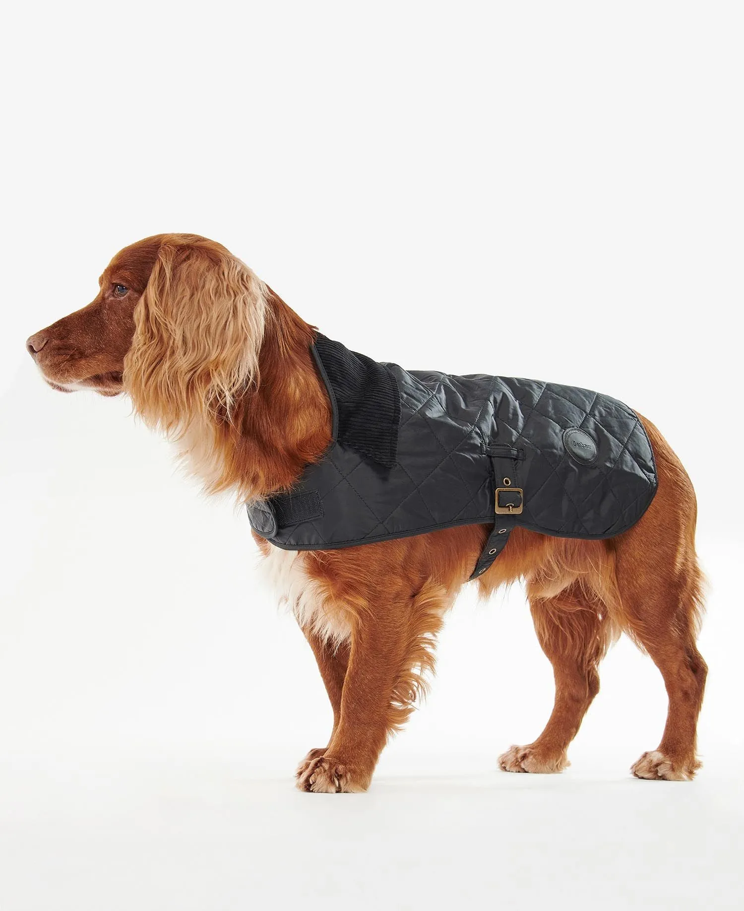 BARBOUR QUILTED DOG COAT DCO0004