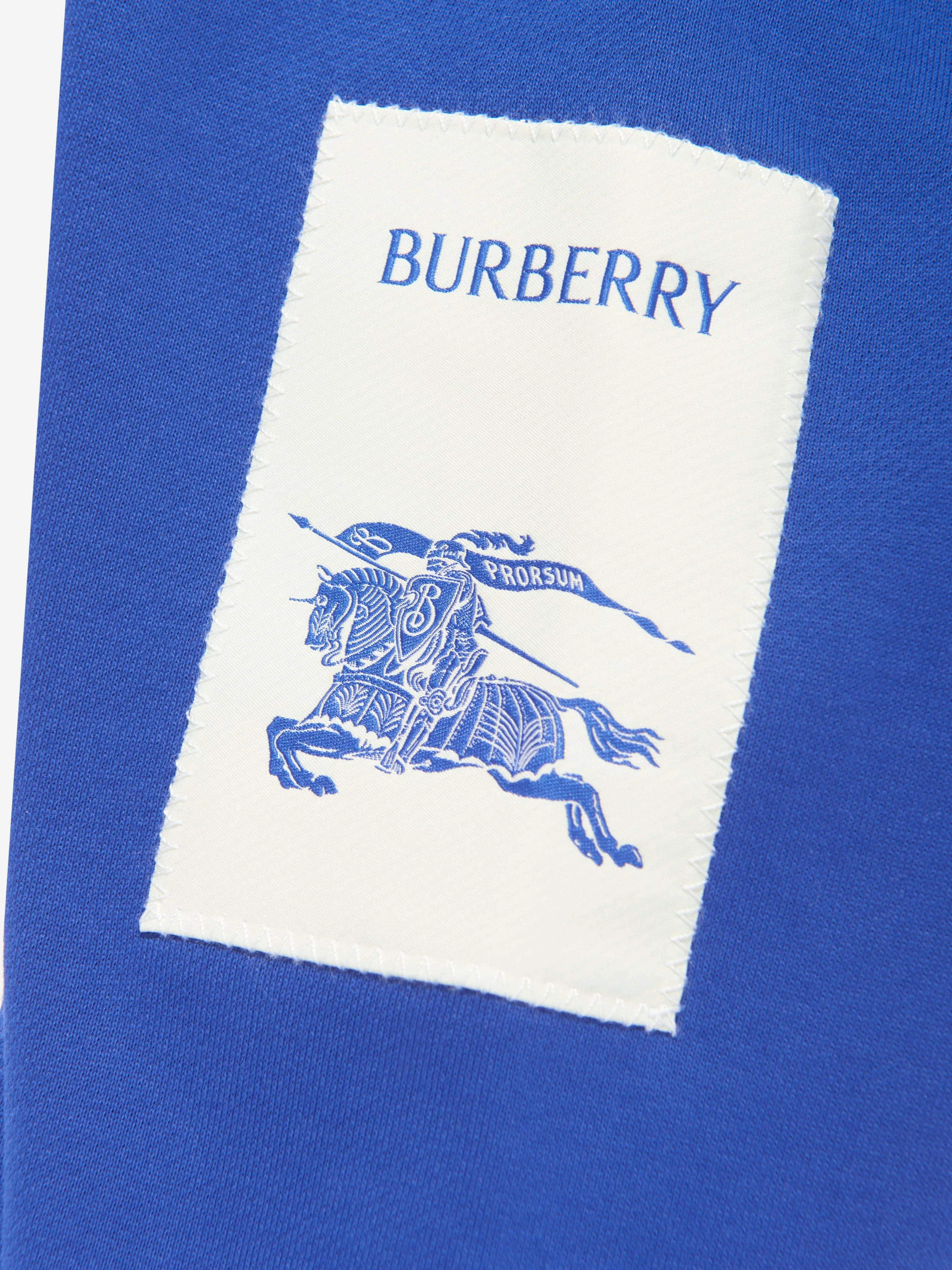 Burberry Baby Boys EKD Label Sidney Joggers in Blue