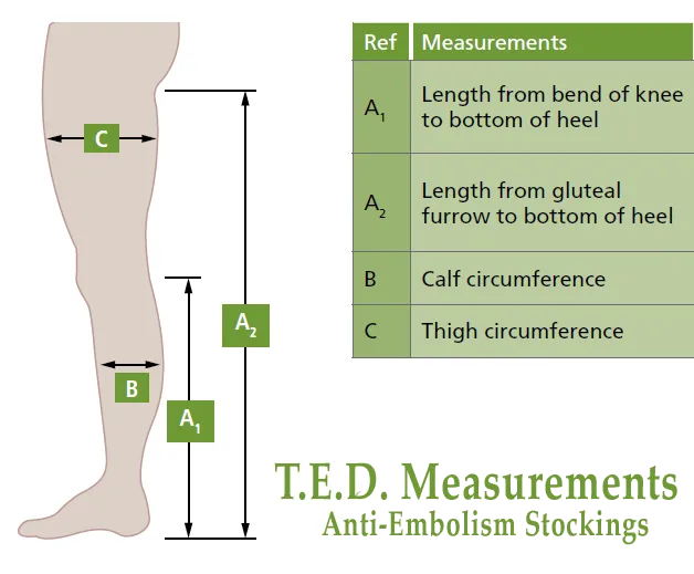 Unisex T.E.D Anti-Embolism Thigh High 8-18mmHg